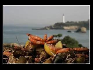 Готель De L'ocean